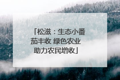 松滋：生态小番茄丰收 绿色农业助力农民增收
