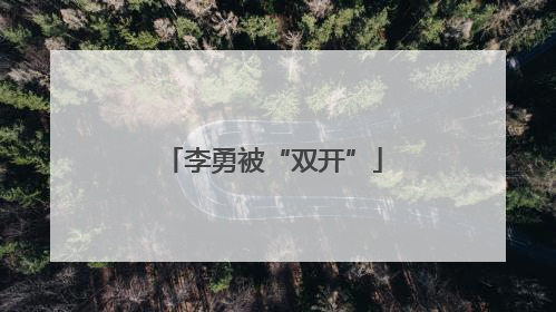 李勇被“双开”