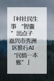 村社民生事 “智囊”出点子 嘉兴市秀洲区推行AI“民情一本账”