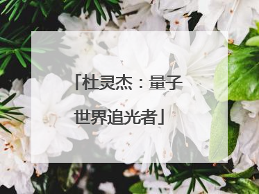杜灵杰：量子世界追光者