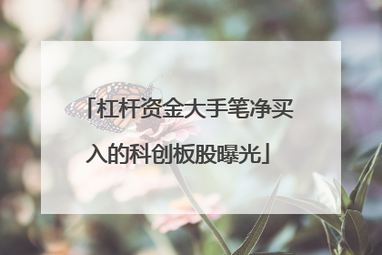杠杆资金大手笔净买入的科创板股曝光