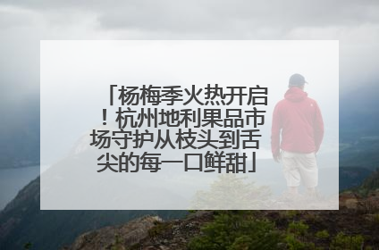 杨梅季火热开启！杭州地利果品市场守护从枝头到舌尖的每一口鲜甜