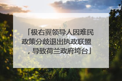 极右翼领导人因难民政策分歧退出执政联盟，导致荷兰政府垮台