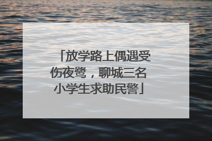 放学路上偶遇受伤夜鹭，聊城三名小学生求助民警