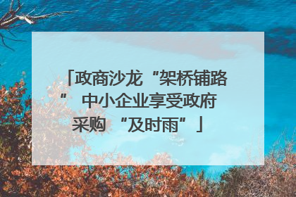政商沙龙“架桥铺路” 中小企业享受政府采购 “及时雨”