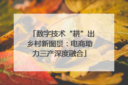 数字技术“耕”出乡村新图景：电商助力三产深度融合