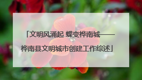 文明风涌起 蝶变桦南城——桦南县文明城市创建工作综述