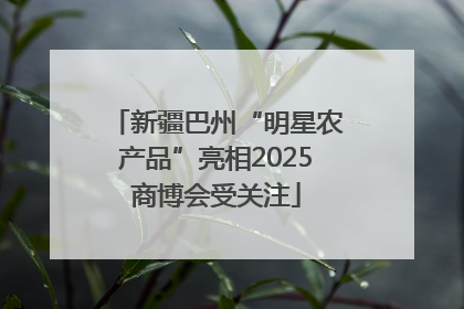 新疆巴州“明星农产品”亮相2025商博会受关注