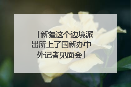 新疆这个边境派出所上了国新办中外记者见面会