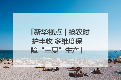 新华视点｜抢农时 护丰收 多维度保障“三夏”生产