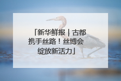 新华鲜报｜古都携手丝路！丝博会绽放新活力