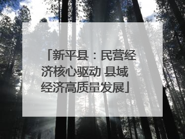 新平县：民营经济核心驱动 县域经济高质量发展