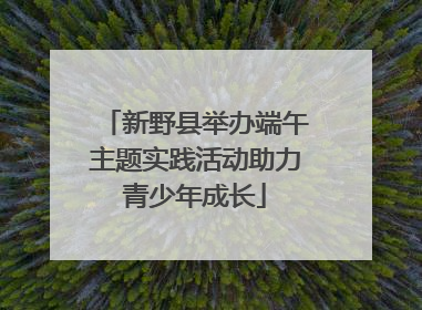 新野县举办端午主题实践活动助力青少年成长