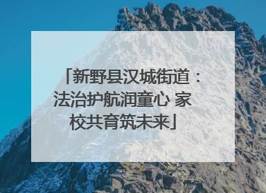 新野县汉城街道：法治护航润童心 家校共育筑未来