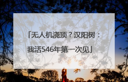 无人机浇顶？汉阳树：我活546年第一次见