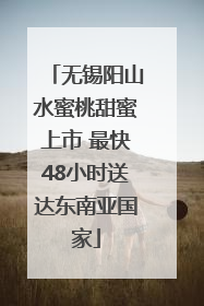 无锡阳山水蜜桃甜蜜上市 最快48小时送达东南亚国家