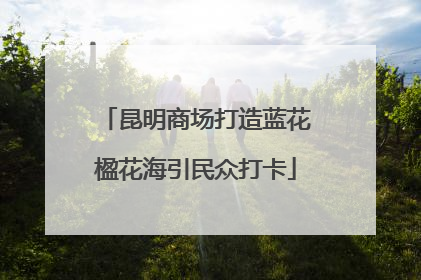 昆明商场打造蓝花楹花海引民众打卡