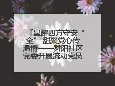 星耀四方守安“全” 甜聚党心传温情——舞阳社区党委开展流动党员建党节主题活动