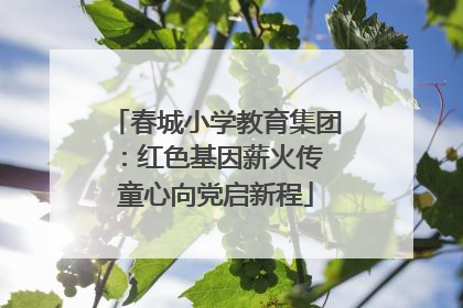 春城小学教育集团：红色基因薪火传 童心向党启新程