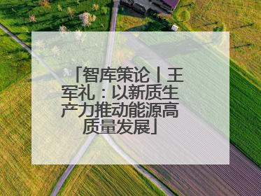 智库策论丨王军礼：以新质生产力推动能源高质量发展