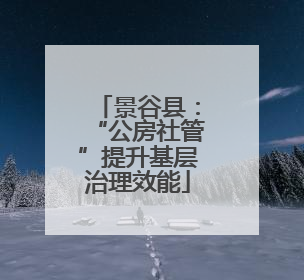 景谷县：“公房社管”提升基层治理效能