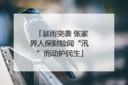 暴雨突袭 张家界人保财险闻“汛”而动护民生