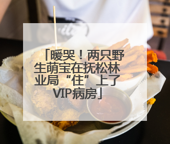 暖哭！两只野生萌宝在抚松林业局“住”上了VIP病房