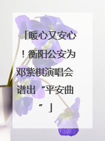 暖心又安心！衡阳公安为邓紫棋演唱会谱出“平安曲”