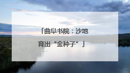 曲阜书院：沙地育出“金种子”