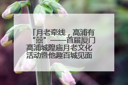 月老牵线，高浦有“囍”——首届厦门高浦城隍庙月老文化活动暨他趣百城见面会隆重举办