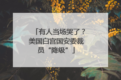 有人当场哭了？美国白宫国安委裁员“降级”