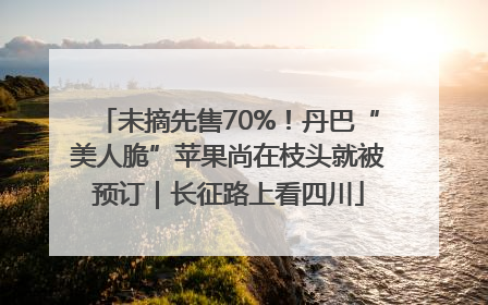 未摘先售70%！丹巴“美人脆”苹果尚在枝头就被预订｜长征路上看四川
