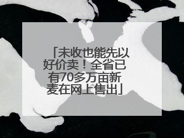 未收也能先以好价卖！全省已有70多万亩新麦在网上售出