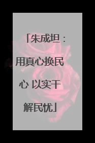 朱成坦：用真心换民心 以实干解民忧