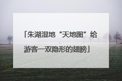 朱湖湿地“天地图”给游客一双隐形的翅膀