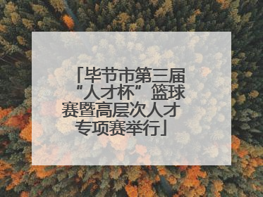 毕节市第三届“人才杯”篮球赛暨高层次人才专项赛举行