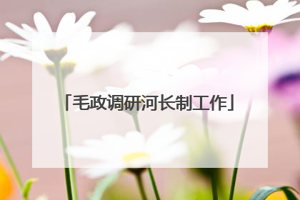毛政调研河长制工作