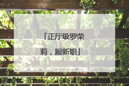 正厅级罗荣莉，履新职