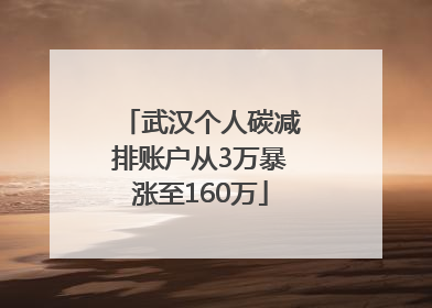 武汉个人碳减排账户从3万暴涨至160万