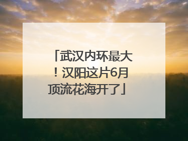 武汉内环最大！汉阳这片6月顶流花海开了