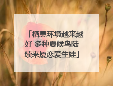 栖息环境越来越好 多种夏候鸟陆续来厦恋爱生娃