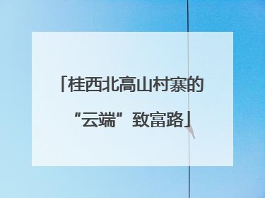 桂西北高山村寨的“云端”致富路