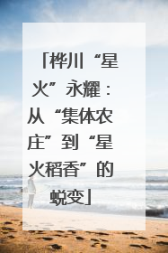 桦川“星火”永耀：从“集体农庄”到“星火稻香”的蜕变