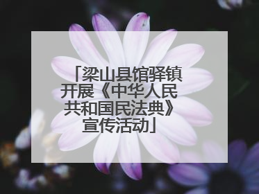 梁山县馆驿镇开展《中华人民共和国民法典》宣传活动