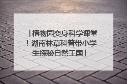 植物园变身科学课堂！湖南林草科普带小学生探秘自然王国