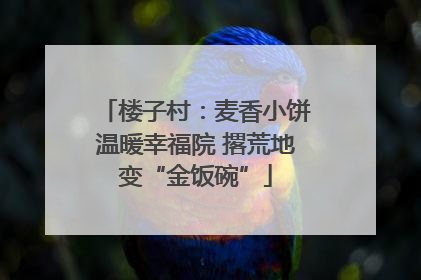 楼子村：麦香小饼温暖幸福院 撂荒地变“金饭碗”