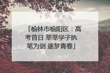 榆林市榆阳区：高考首日 莘莘学子执笔为剑 逐梦青春