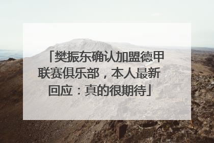樊振东确认加盟德甲联赛俱乐部，本人最新回应：真的很期待