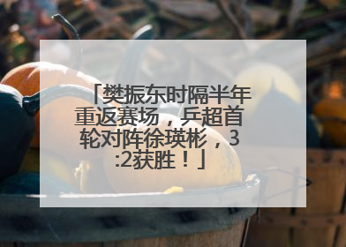 樊振东时隔半年重返赛场，乒超首轮对阵徐瑛彬，3:2获胜！