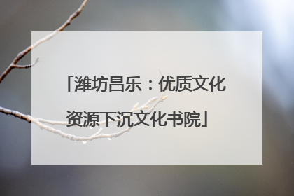 潍坊昌乐：优质文化资源下沉文化书院